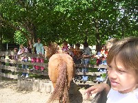 sany0011.jpg