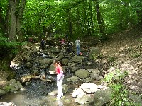 sany0015.jpg