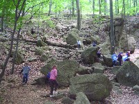 sany0075.jpg