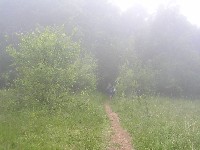 sany0098.jpg
