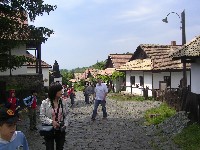 sany0126.jpg