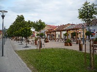 031.jpg