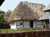156.jpg