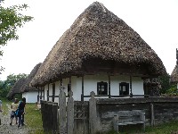 157.jpg