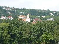 164.jpg