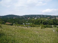 165.jpg
