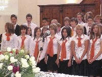 161.jpg