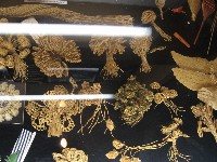 2009_07_119.jpg