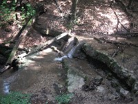 2009_07_137.jpg