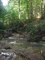 2009_07_167.jpg