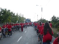 p1060771.jpg