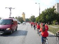p1060780.jpg