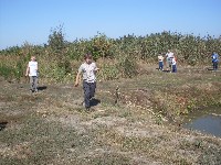 sdc13575.jpg