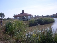 sdc13577.jpg