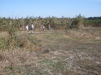sdc13578.jpg