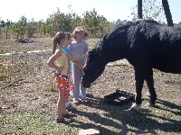 sdc13579.jpg