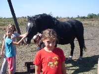 sdc13580.jpg