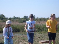 sdc13593.jpg