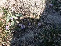 sdc13600.jpg