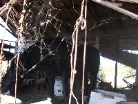 sdc13602.jpg
