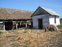 sdc13606.jpg