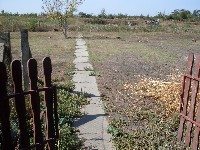 sdc13619.jpg