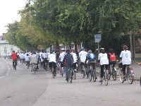 img_1524.jpg