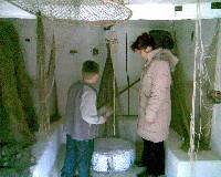 k_p063.jpg