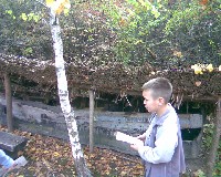 k_p067.jpg