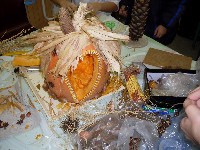 sdc14532.jpg