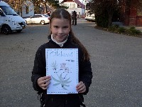 sdc14544.jpg