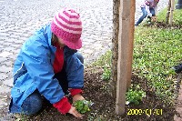 100_1289.jpg