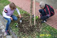 100_1290.jpg