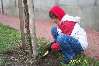 100_1291.jpg
