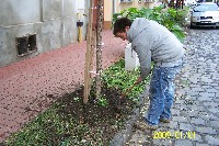 100_1292.jpg