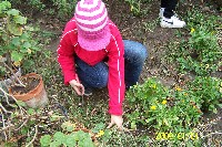 100_1300.jpg
