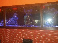 pb200089.jpg