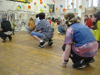 dscf6864.jpg