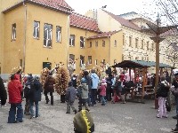p1120237.jpg