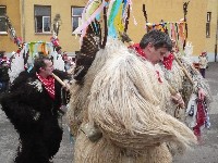 p1120246.jpg