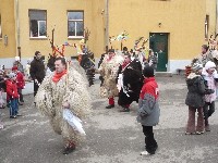 p1120249.jpg