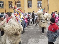 p1120252.jpg