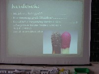 sdc14980.jpg