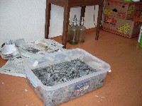 sdc14981.jpg