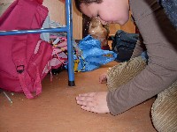 sdc14991.jpg
