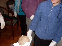 sdc15105.jpg