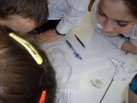 sdc15142.jpg