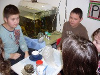 sdc15149.jpg