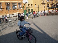 sdc15171.jpg