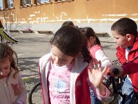 sdc15184.jpg